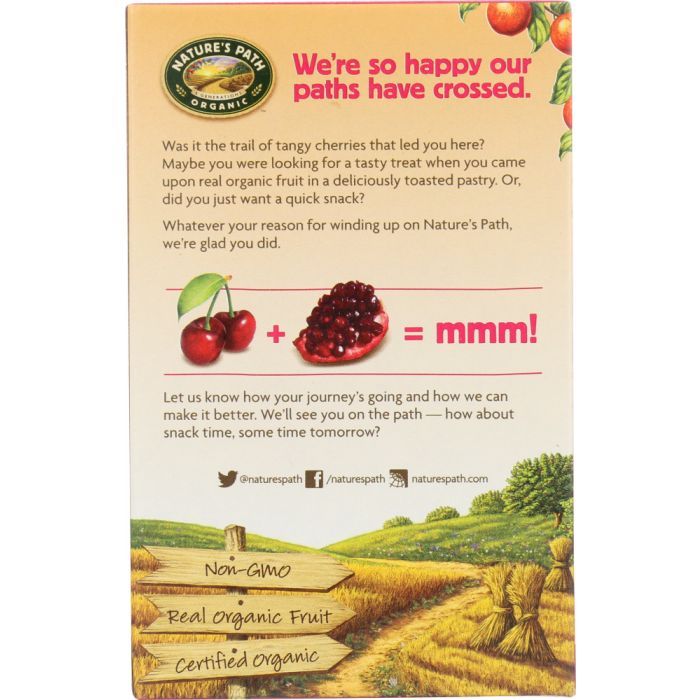 NATURE'S PATH: Organic Frosted Cherry Pomegranate Toaster Pastries, 11 oz