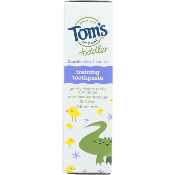 TOMS OF MAINE: Toddler Fluoride-Free Natural Training Toothpaste Mild Fruit, 1.75 oz