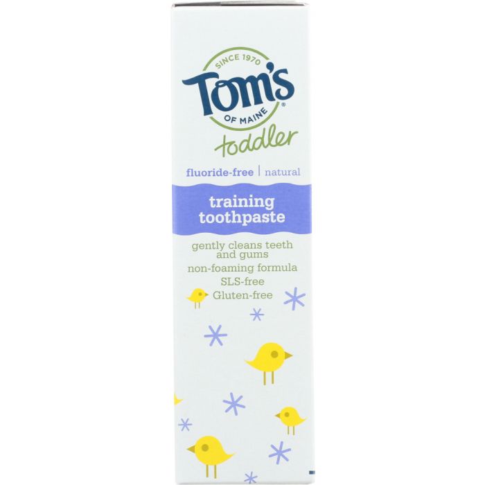 TOMS OF MAINE: Toddler Fluoride-Free Natural Training Toothpaste Mild Fruit, 1.75 oz