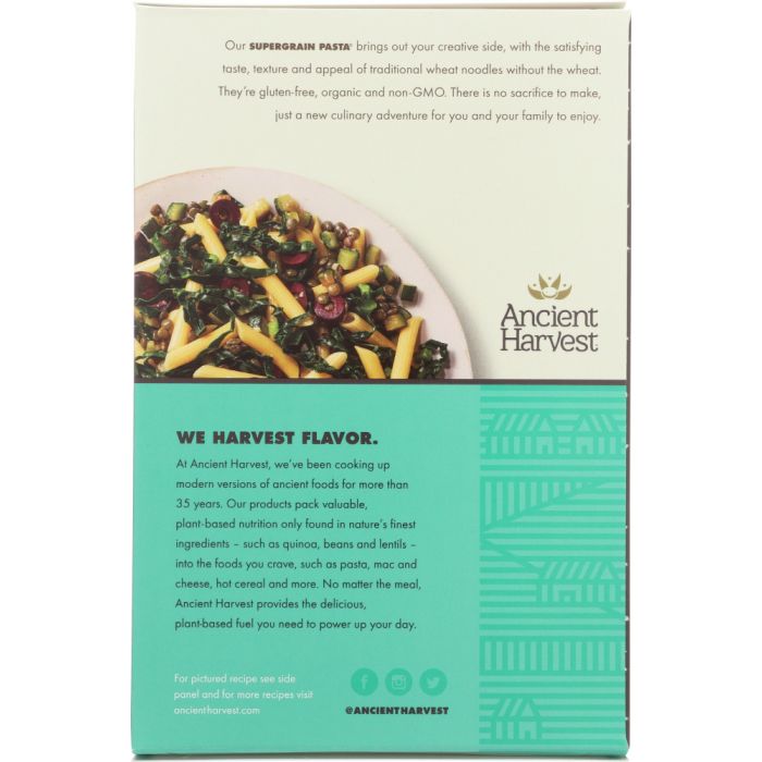 ANCIENT HARVEST: Organic Gluten Free Quinoa Penne, Non GMO, 8 Oz