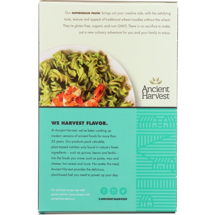 ANCIENT HARVEST: Organic Supergrain Pasta Rotini Gluten Free, 8 oz