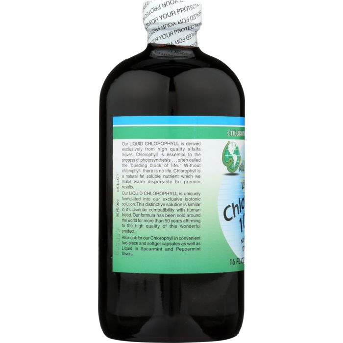 WORLD ORGANIC: Liquid Chlorophyll 100mg, 16 oz