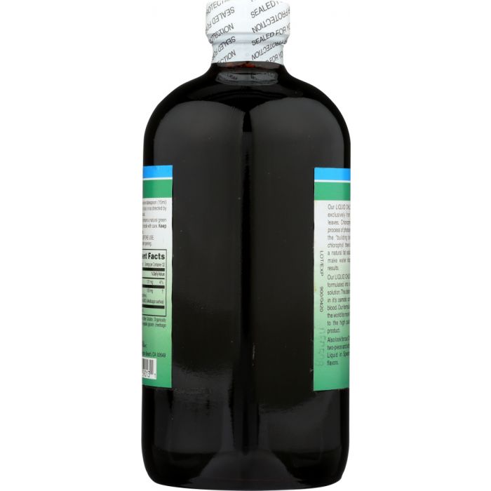 WORLD ORGANIC: Liquid Chlorophyll 100mg, 16 oz