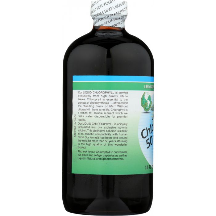 WORLD ORGANIC: Liquid Chlorophyll Mint 50 mg, 16 oz