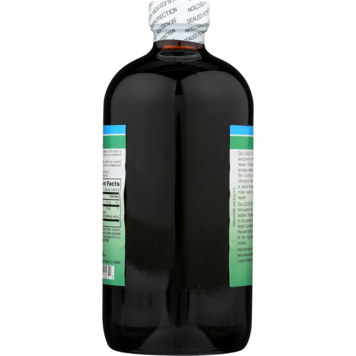 WORLD ORGANIC: Liquid Chlorophyll Mint 50 mg, 16 oz