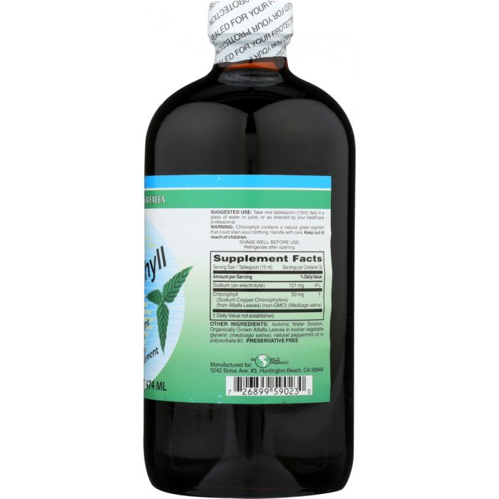 WORLD ORGANIC: Liquid Chlorophyll Mint 50 mg, 16 oz